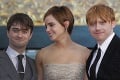 Filmová séria Harry Potter sa skončila a sovy naplnili útulky