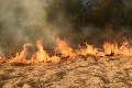 Vo Francúzsku vypukol lesný požiar, evakuovali 2500 dovolenkárov