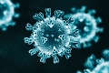 Znepokojujúce novinky o koronavíruse: Čo sa doteraz predpokladalo, už neplatí