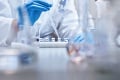 Vedci z Austrálie hlásia úspech: Liek proti všiam dokáže zničiť koronavírus do 48 hodín