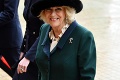 Camilla ukázala domácu pracovňu: Detaily v pozadí prezrádzajú o vojvodkyni veľa