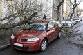 Bratislava bojuje so silným vetrom: Padnuté stromy aj rozbité autá!