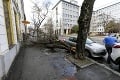 Bratislava bojuje so silným vetrom: Padnuté stromy aj rozbité autá!