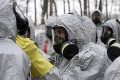 Vtáčia chrípka na Slovensku: Vo Dvoroch nad Žitavou uhynulo ďalších 12 labutí