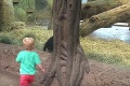 Chlapček si v zoo našiel nezvyčajného kamaráta: Zahrali sa spolu na schovávačku!