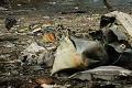 Pád lietadla MH17 nad Ukrajinou: Vyšetrovatelia prišli s prevratným zistením