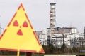 V ochrannej zóne okolo Černobyľa sa darí cicavcom: Aké je odôvodnenie vedcov?
