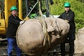 V lese pri Berlíne vykopali obrovskú žulovú hlavu: Znázorňuje obávanú postavu svetových dejín!