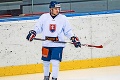 Sezóna NHL už klope na dvere, tuhý boj o miesta sa začal: Aké šance majú mladí Slováci?