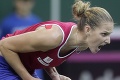 Dokonalý obrat: Češky napokon zdolali Rusky a získali po štvrtý raz Fed Cup