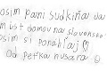 Unesený Peťko (8) vzal osud do vlastných rúk: Sudkyni poslal dojímavý list s prosbou!
