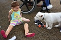 Dievčatko s amputovanými nožičkami dostalo nového kamaráta: So šteniatkom ich spája rovnaký osud!