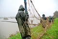 Rybný hospodár si netradičných brigádnikov chváli: Vianočné kapry lovia väzni