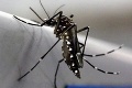 Vírus zika sa šíri po Európe: Nemecko nahlásilo 15 prípadov nákazy!