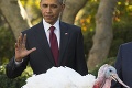 Zvyšok sveta rieši konflikty, Američania prípravy na Deň vďakyvzdania: Obama udelil milosť moriakovi