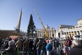 Nenechali sa zastrašiť teroristami: Na Námestí sv. Petra už stojí vianočný stromček