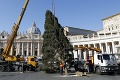 Nenechali sa zastrašiť teroristami: Na Námestí sv. Petra už stojí vianočný stromček
