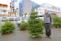 Vianočné stromčeky sú v predaji: Kde na Slovensku zaň zaplatíte najmenej?