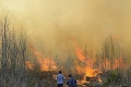 Oheň z požiaru rúbaniska na Hornej Orave 