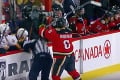NHL rázne zakročila: Poriadne drsný trest za útok na rozhodcu!