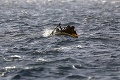 Smutný nález na pobreží Turecka: More vyplavilo ďalších mŕtvych migrantov