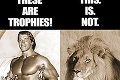 Celebrity útočia na zubára, ktorý zabil leva Cecila: Schwarzenegger mu posiela veľavravnú fotku!