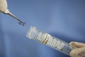 Svetová zdravotnícka organizácia varuje:  Vírus zika možno zastaviť len takto!