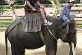 Turista si chcel počas dovolenky zajazdiť na slonovi: To, čo zviera spravilo, ho stálo život!