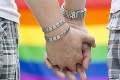 Je to oficiálne! V katolíckom Írsku voliči schválili homosexuálne manželstvá