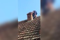 Maďarská babka vyliezla na strechu, stala sa hitom: Video, ktoré sledujú ľudia so zatajeným dychom!