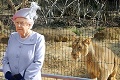 Fotka kráľovnej Alžbety II. obletela celý svet: Keď ju uvidíte celú, zastaví sa vám dych!