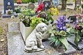 V Bratislave už čoskoro vyrastie zvierací cintorín: Koľko za to zacvakáte, rozhodnú dve veci!