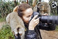Fotografka sa stala terčom záujmu dvoch lemurov: Chalani, nechajte ma fotiť!
