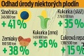 Slovenskí farmári sa tešia vynikajúcej úrode: Zemiaky aj slnečnicový olej môžu zlacnieť!