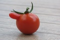 Zuzanini svokrovci vypestovali kráľovnú medzi paradajkami: Tieto fotky zarazia aj skúsených záhradkárov!
