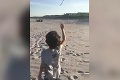 Chlapec na pláži dráždil vtáky, no nemal to robiť: Potom nasledoval už len krik!