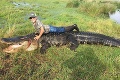 Farmári chytili gigantického aligátora: Táto obluda nám žrala kravy!