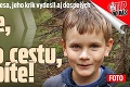 Dušanko sa vybral do lesa, jeho krik vydesil aj dospelých: Uvidíte, čo mu skrížilo cestu, pochopíte!