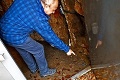 Ján si ako prvý na Slovensku všimol, že z podzemia vyliezajú nečakaní návštevníci: To môže znamenať len jedno!