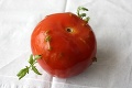 Dušan kúpil paradajku a položil ju na chladničku: Pohľad na ňu o 2 týždne by prefackal aj skúseného záhradkára!