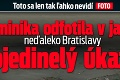 Toto sa len tak ľahko nevidí: Dominika odfotila v jazere neďaleko Bratislavy ojedinelý úkaz!