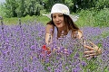 Levanduľové polia nájdete aj na Slovensku: TU si môžete natrhať voňavé kvety!
