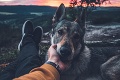 Honza sa stal slávnym vďaka fotkám so svojím psíkom: S verným kamarátom sa chystá aj na Slovensko