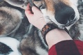 Honza sa stal slávnym vďaka fotkám so svojím psíkom: S verným kamarátom sa chystá aj na Slovensko