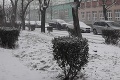 Ešte nemáte dosť snehu? Fotky zimnej rozprávky v Bratislave, predtým, než sa zmení na čvachtavú pohromu!