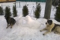 Slováci už nestavajú iba snehuliakov, ale aj rôzne sochy: Jaro vytvoril zo snehu majstrovské dielo!