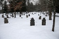 Desaťročia sa ukrývali pod zemou, nadšenci ich oživili: V obci na strednom Slovensku majú raritu rovno na cintoríne!