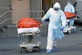 Niektoré krajiny sa k vrcholu epidémie blížia míľovými krokmi: Najviac testuje Švajčiarsko