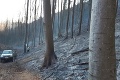 Na západnom Slovensku horí les: Hasičom sa podarilo lokalizovať požiar, likvidujú ho