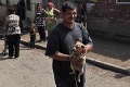 V osadách majú problém s premnožením psíkov: Dobrovoľníci pomáhajú zvieratá kastrovať